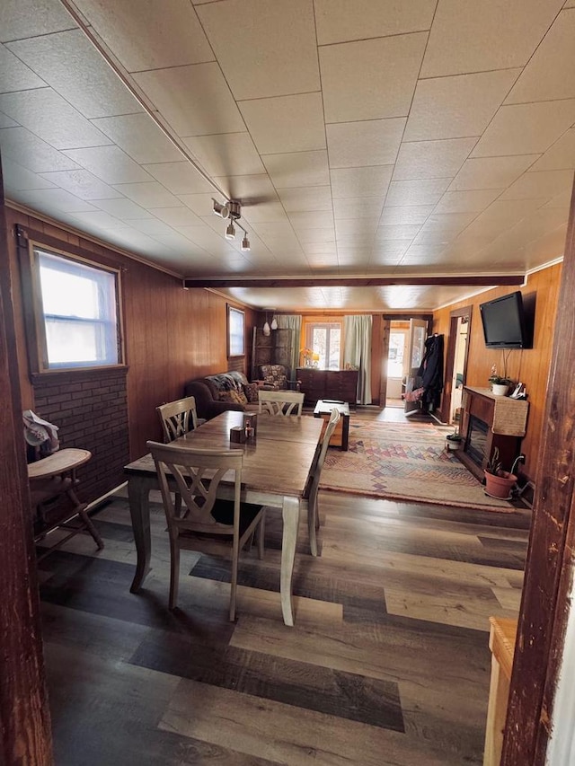 dining area featuring wood finished floors, a healthy amount of sunlight, and wood walls