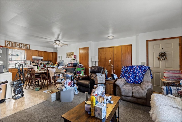 living area with a ceiling fan