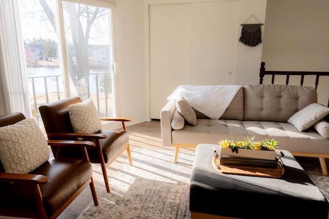 living room featuring wood finished floors