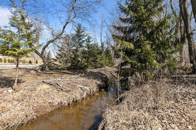 view of local wilderness