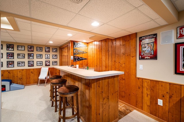 bar with carpet, a wainscoted wall, wood walls, recessed lighting, and wet bar