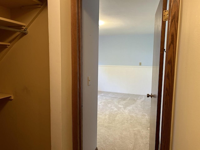 spacious closet featuring carpet floors