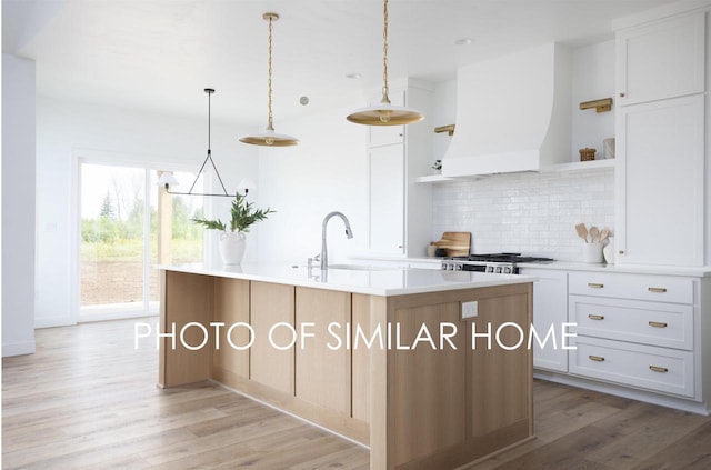 kitchen featuring open shelves, a sink, backsplash, light wood finished floors, and custom exhaust hood