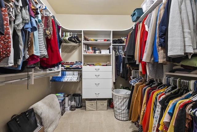 spacious closet featuring carpet