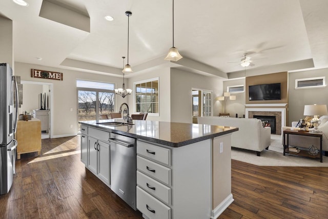 kitchen with a tray ceiling, dark wood-style floors, a glass covered fireplace, stainless steel appliances, and a sink