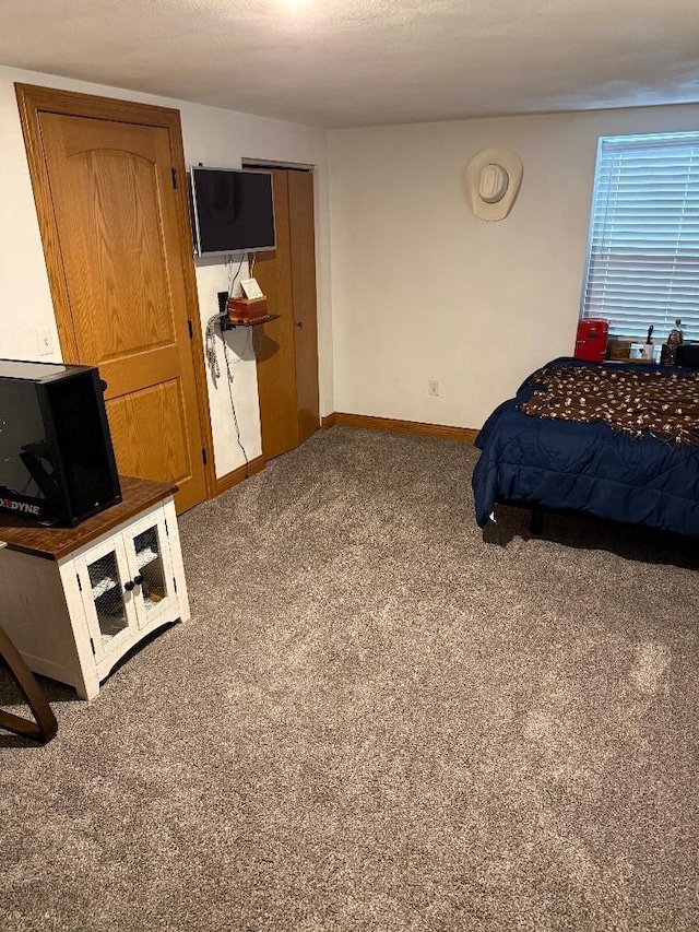 3743 S Milton Shopiere Rd, Janesville, WI 53546 - bedroom with carpet and baseboards
