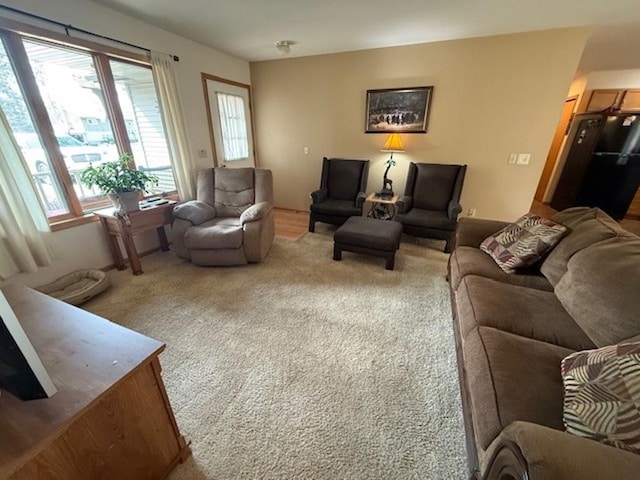 view of carpeted living area