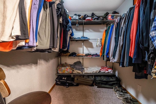 spacious closet featuring carpet flooring