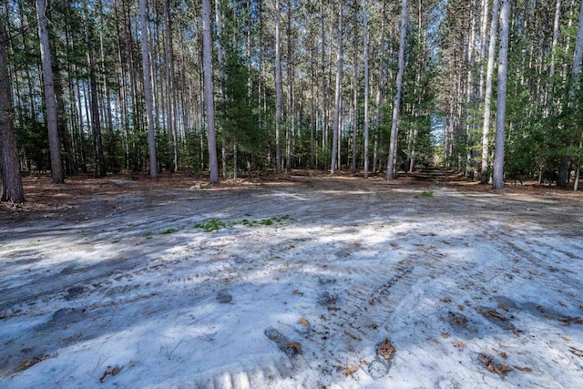 view of yard featuring a forest view