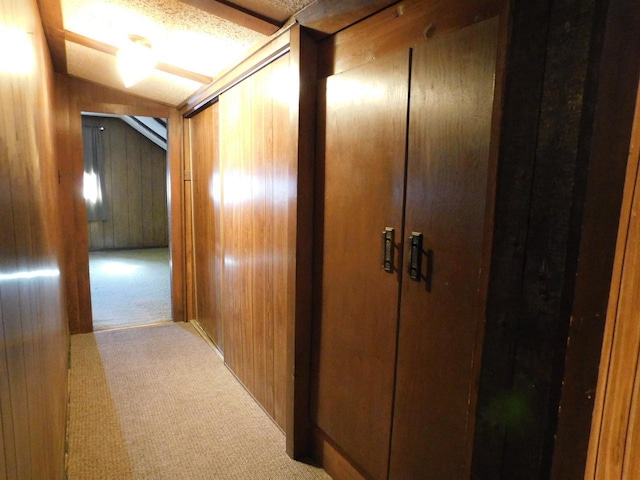 hallway featuring wooden walls and carpet