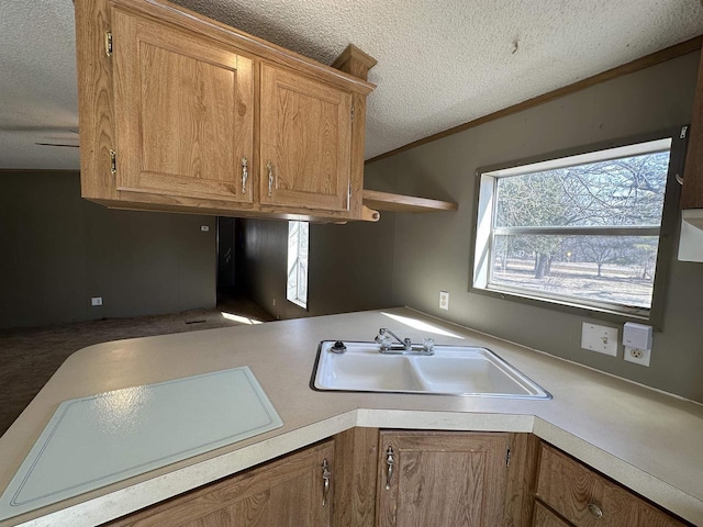 kitchen featuring open shelves, ornamental molding, a sink, light countertops, and a textured ceiling