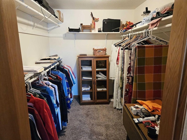 spacious closet featuring carpet