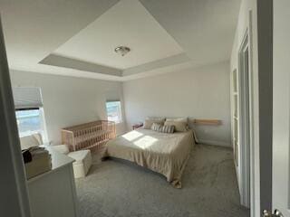 bedroom with a raised ceiling and carpet flooring