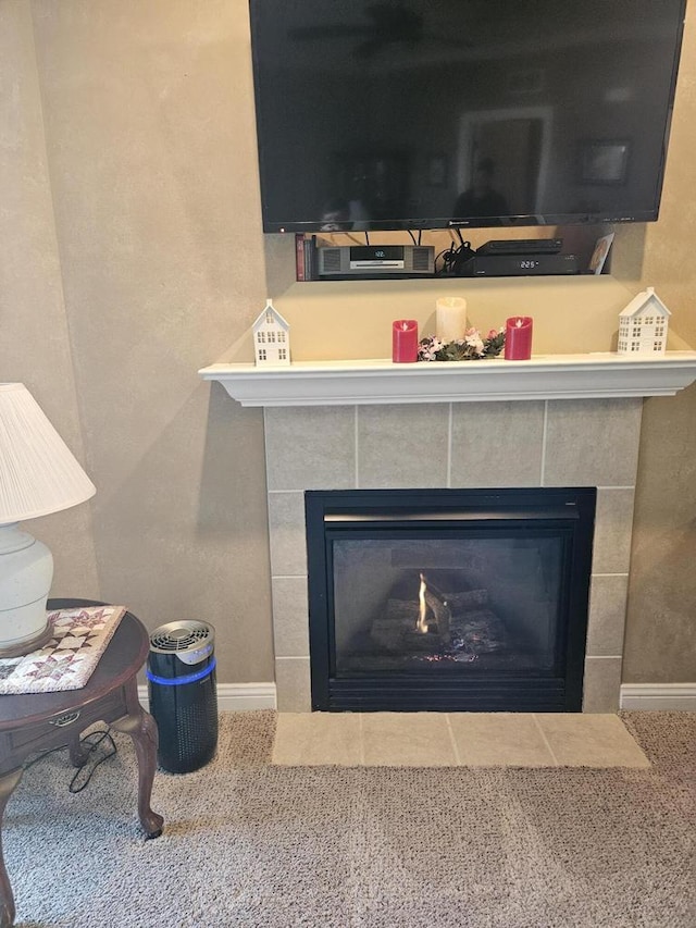 room details with baseboards and a fireplace