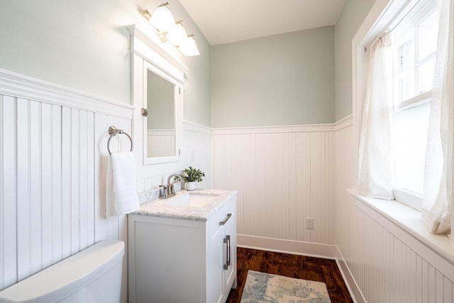 bathroom with a wainscoted wall, a healthy amount of sunlight, vanity, and wood finished floors