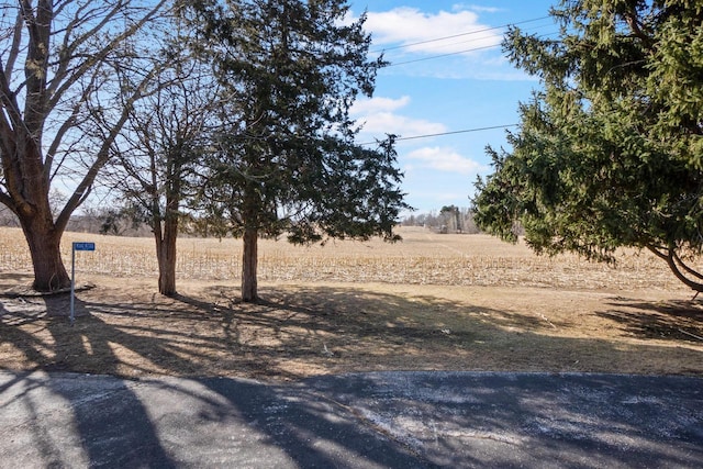 view of yard with a rural view