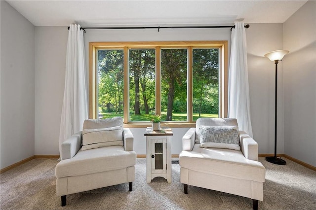 sitting room with baseboards and carpet floors