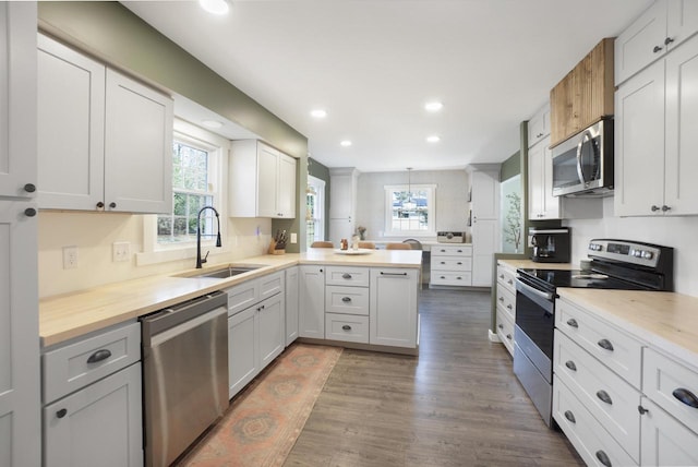 kitchen featuring a sink, stainless steel appliances, a peninsula, and a healthy amount of sunlight