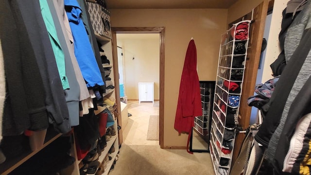 view of spacious closet