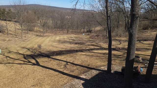 exterior space with a wooded view