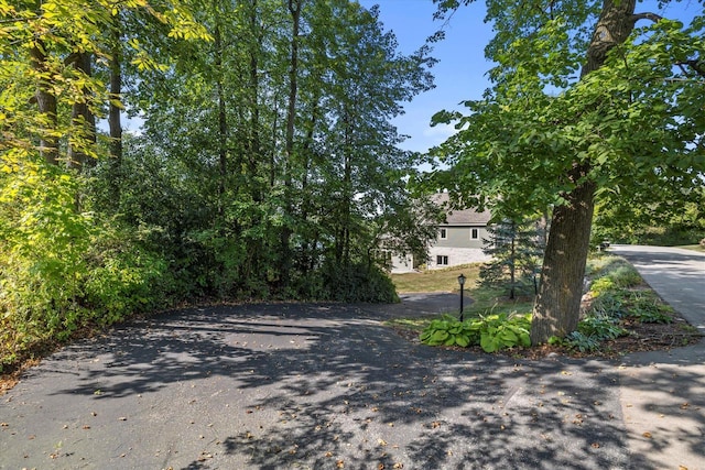 view of street with driveway