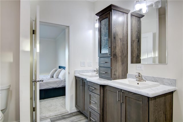 ensuite bathroom with double vanity, connected bathroom, toilet, and a sink