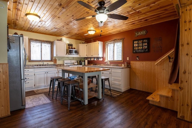 8217 Burma Rd, Pickerel, WI 54465 - kitchen with dark wood-style floors, a healthy amount of sunlight, appliances with stainless steel finishes, and wooden ceiling
