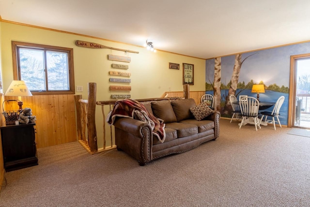 carpeted living room with wainscoting, wood walls, and ornamental molding