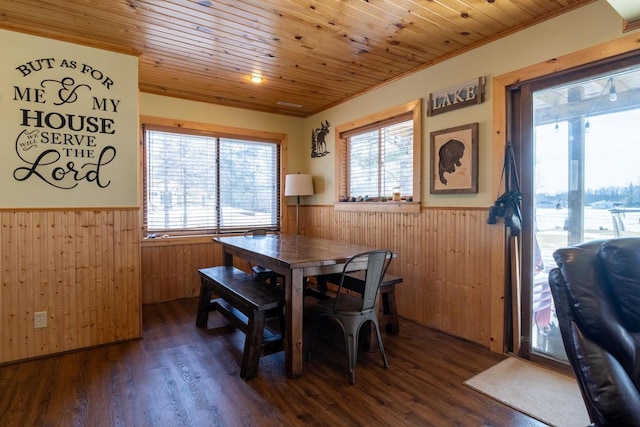 dining space with a wealth of natural light, a wainscoted wall, wooden ceiling, and wooden walls