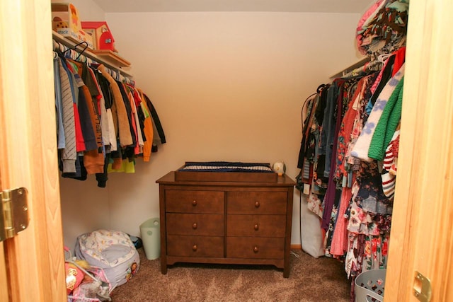 spacious closet featuring carpet flooring