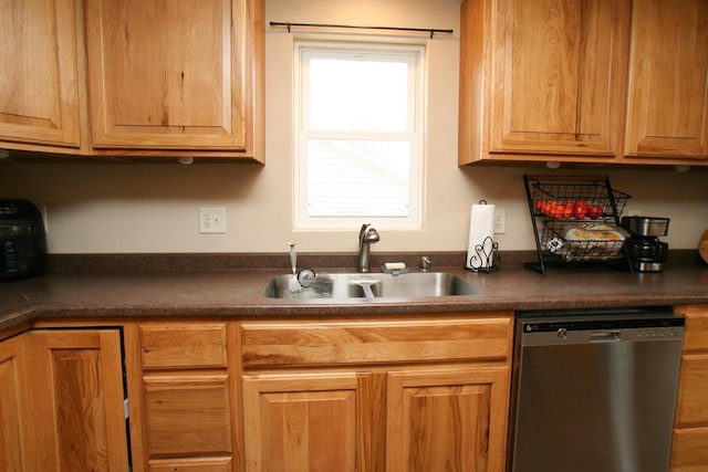 kitchen with dark countertops, a sink, and stainless steel dishwasher