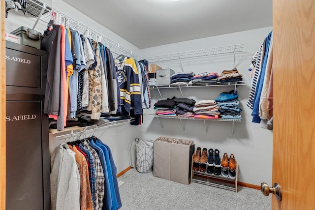 spacious closet featuring carpet flooring