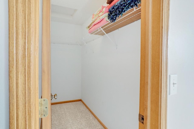 walk in closet featuring carpet