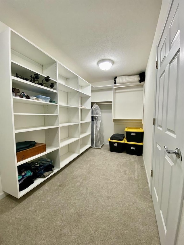 spacious closet featuring carpet flooring