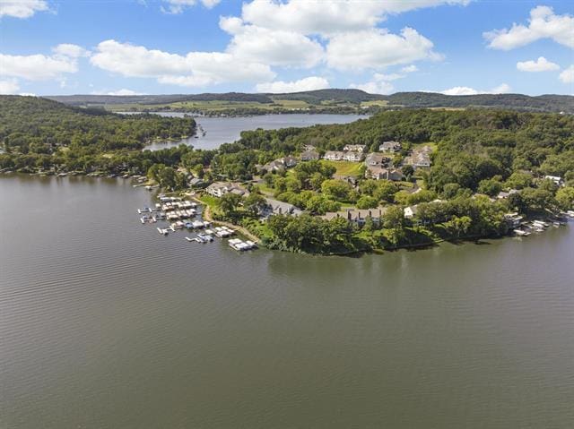 bird's eye view featuring a forest view and a water view