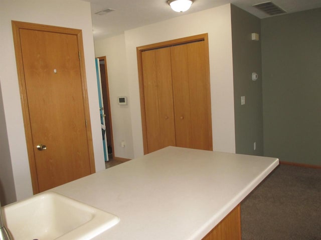 kitchen with carpet flooring, visible vents, and a sink