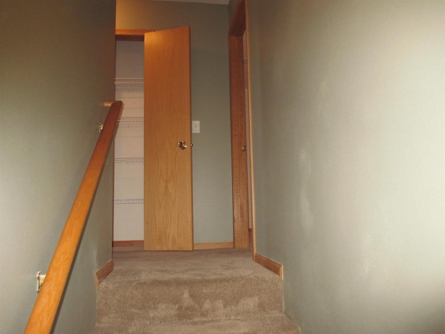 stairway with baseboards and carpet