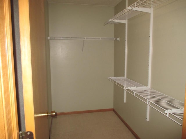 view of walk in closet