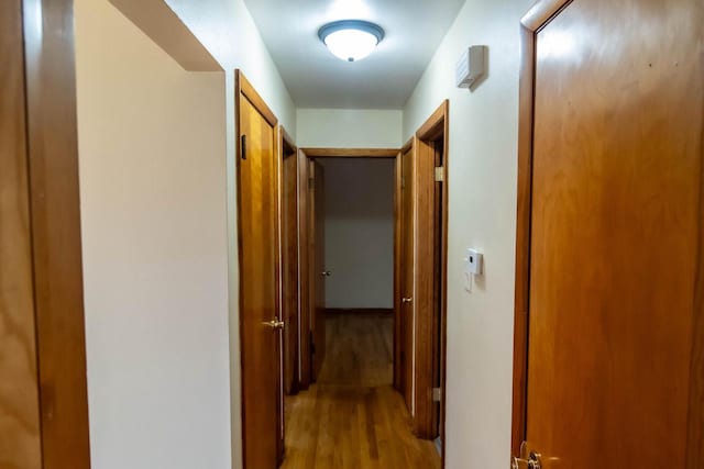 hall with light wood-style floors