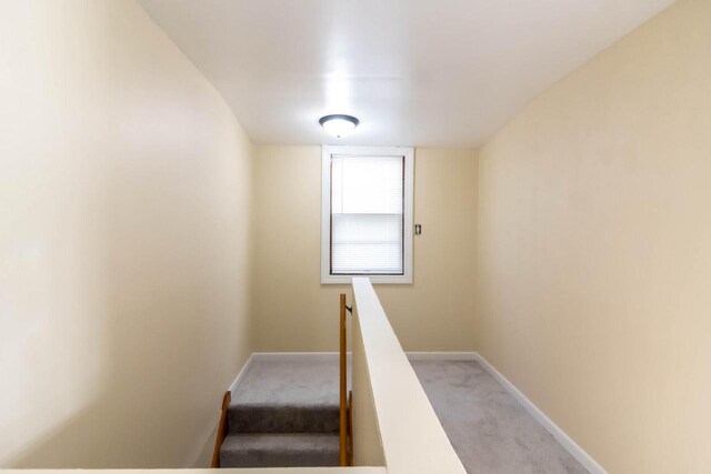 staircase featuring baseboards and carpet