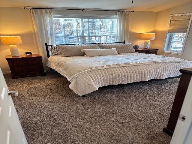 carpeted bedroom featuring multiple windows