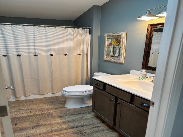 bathroom featuring a shower with shower curtain, toilet, wood finished floors, and vanity