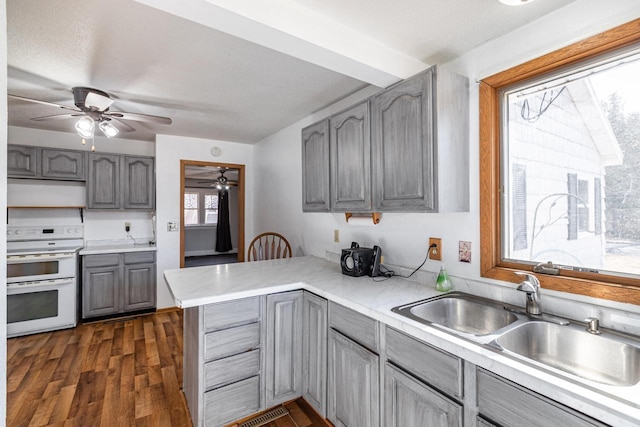 kitchen with gray cabinetry, a sink, double oven range, a peninsula, and dark wood-style flooring