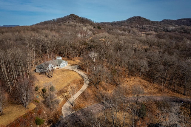 drone / aerial view featuring a mountain view