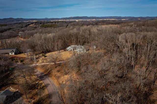 aerial view with a mountain view