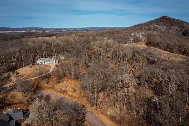 drone / aerial view with a mountain view