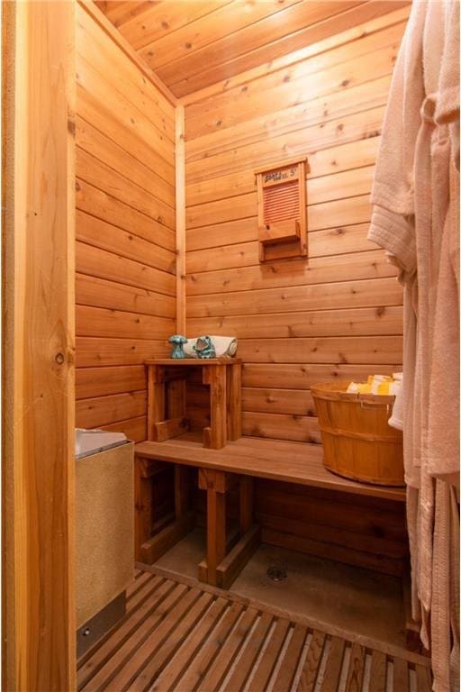 227 Donatelle St, Amery, WI 54001 - view of sauna / steam room