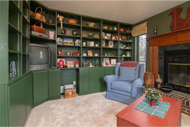 227 Donatelle St, Amery, WI 54001 - living area featuring a glass covered fireplace, a textured ceiling, and carpet floors