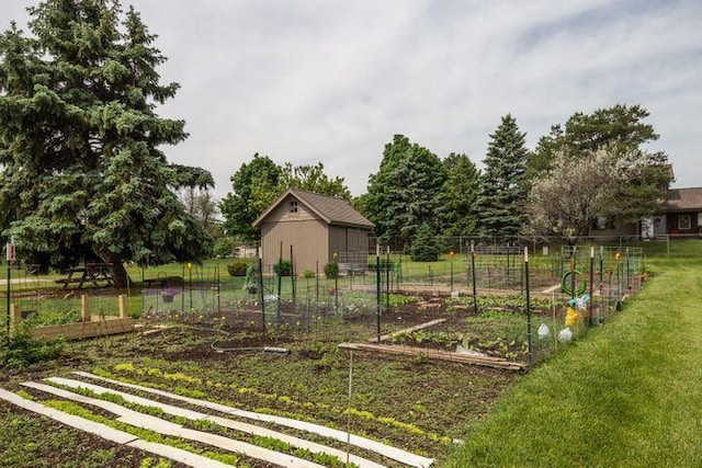 view of yard featuring a vegetable garden