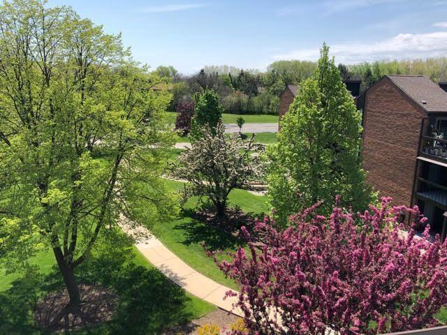 view of home's community with a yard